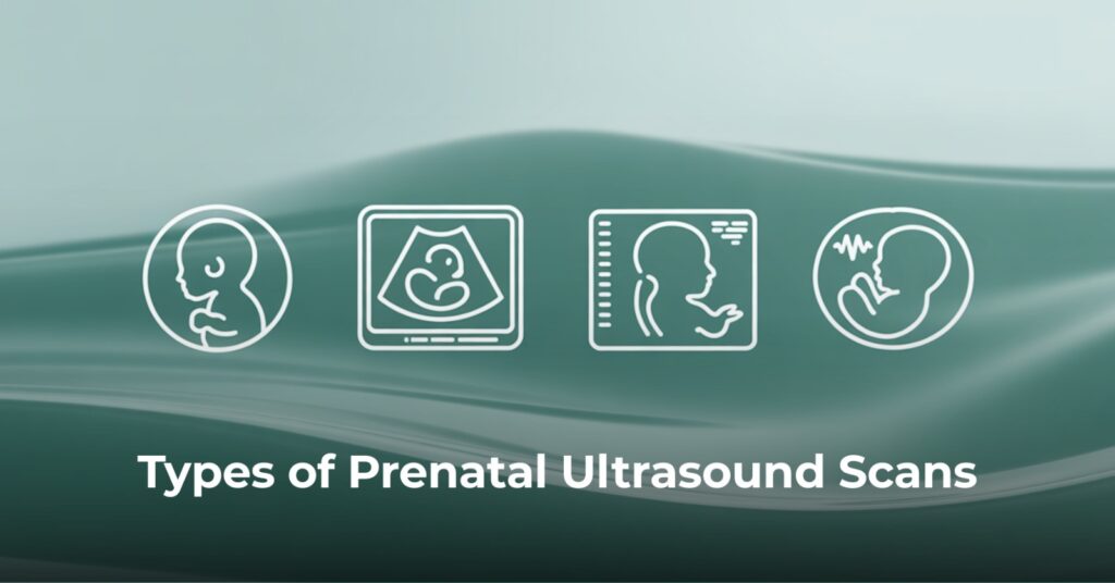 Prenatal Ultrasound Scans in Sharjah: What to Expect During Pregnancy Prenatal Care